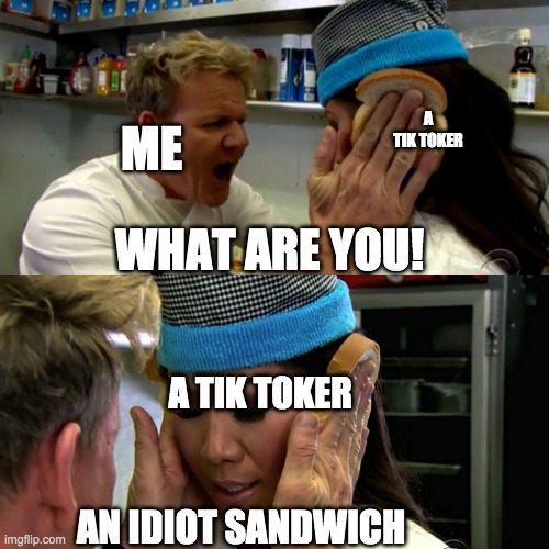 Gordon Ramsay Idiot Sandwich | A TIK TOKER; ME; WHAT ARE YOU! A TIK TOKER; AN IDIOT SANDWICH | image tagged in gordon ramsay idiot sandwich | made w/ Imgflip meme maker