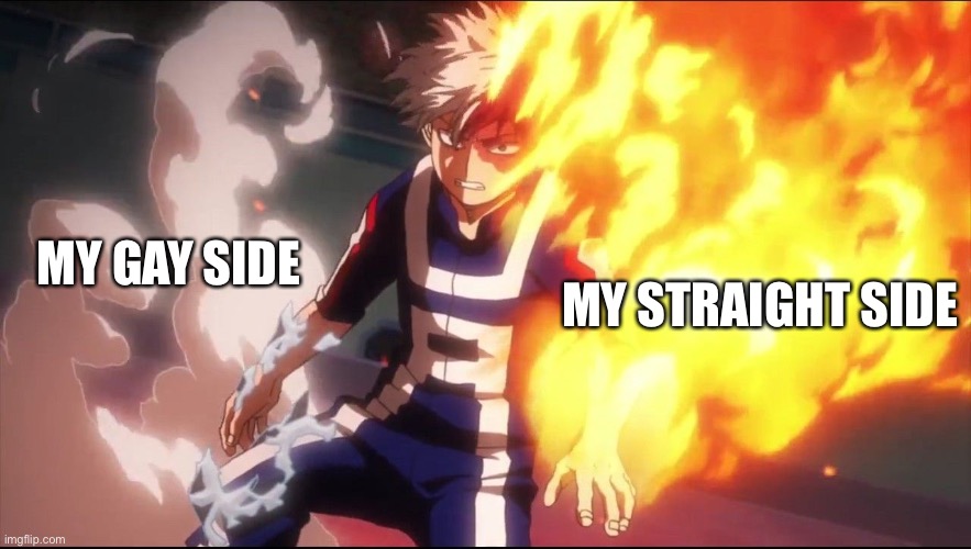 I be bi | MY STRAIGHT SIDE; MY GAY SIDE | image tagged in todoroki angry | made w/ Imgflip meme maker