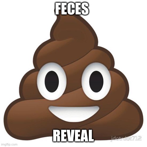 poop | FECES; REVEAL | image tagged in poop | made w/ Imgflip meme maker