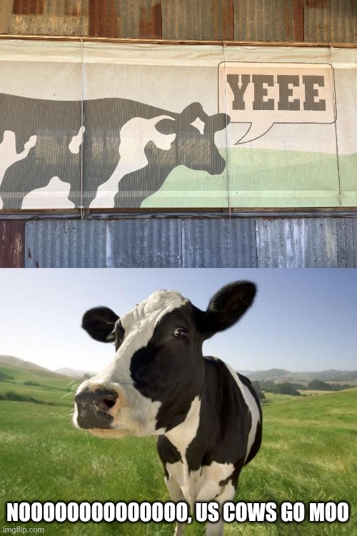 Cow sign | NOOOOOOOOOOOOOO, US COWS GO MOO | image tagged in cow,you had one job,cows,memes,meme,moo | made w/ Imgflip meme maker