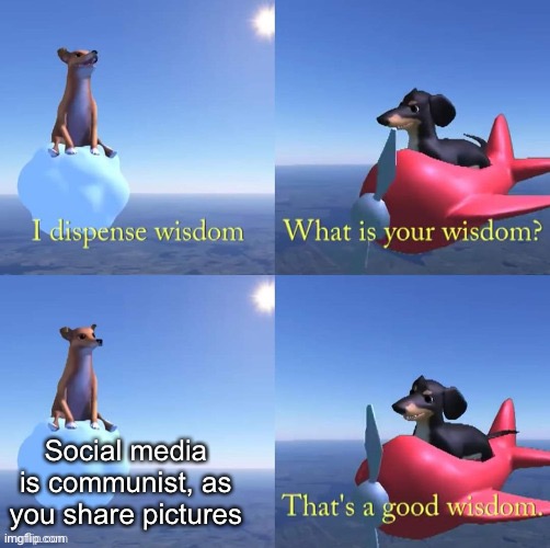 Social media is communist | Social media is communist, as you share pictures | image tagged in wisdom dog | made w/ Imgflip meme maker