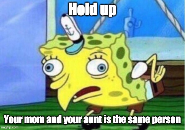 Mocking Spongebob | Hold up; Your mom and your aunt is the same person | image tagged in memes,mocking spongebob | made w/ Imgflip meme maker