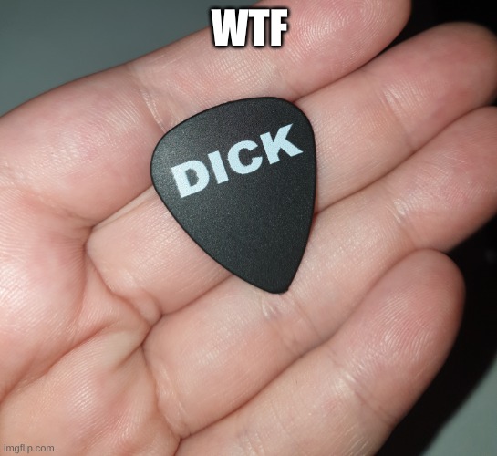 Dick Pick | WTF | image tagged in dick pick | made w/ Imgflip meme maker