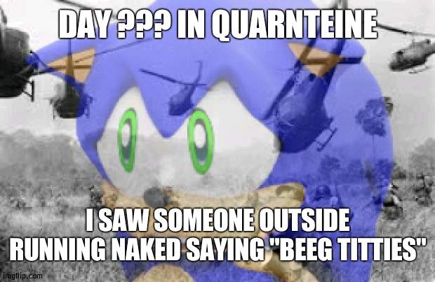 Sonic veitnam war | DAY ??? IN QUARNTEINE; I SAW SOMEONE OUTSIDE RUNNING NAKED SAYING "BEEG TITTIES" | image tagged in sonic veitnam war | made w/ Imgflip meme maker