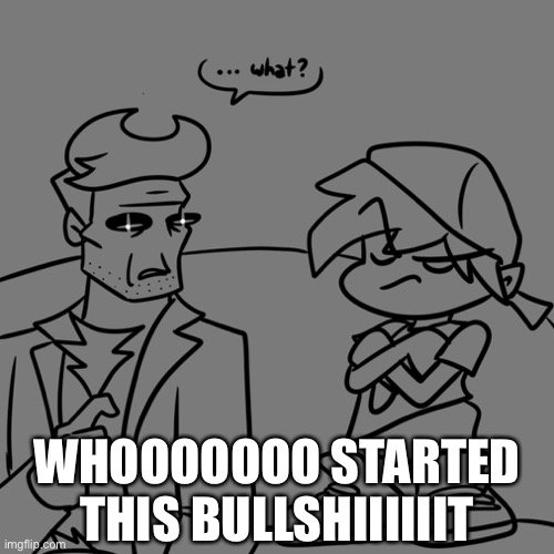 ...what? | WHOOOOOOO STARTED THIS BULLSHIIIIIIT | image tagged in what | made w/ Imgflip meme maker