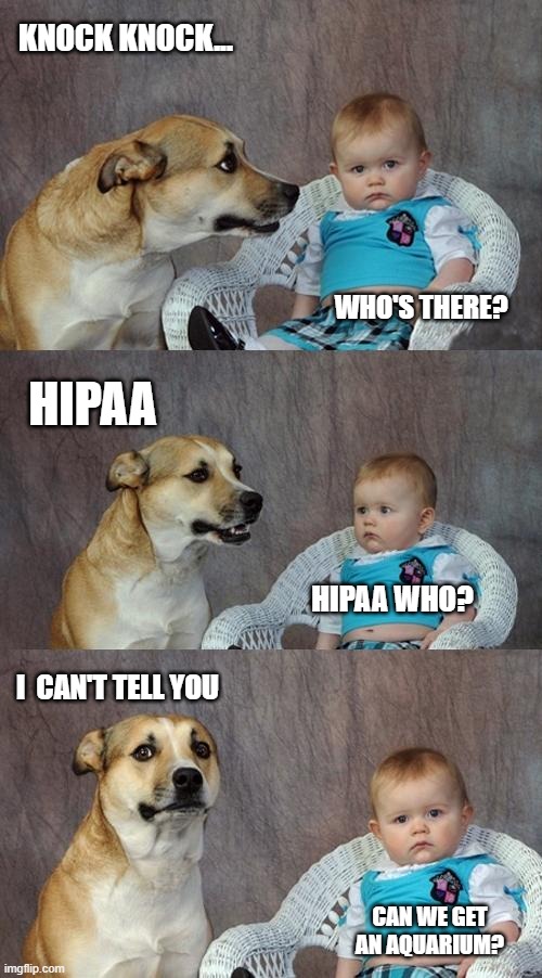 EMS Humor | KNOCK KNOCK... WHO'S THERE? HIPAA; HIPAA WHO? I  CAN'T TELL YOU; CAN WE GET AN AQUARIUM? | image tagged in memes,dad joke dog | made w/ Imgflip meme maker