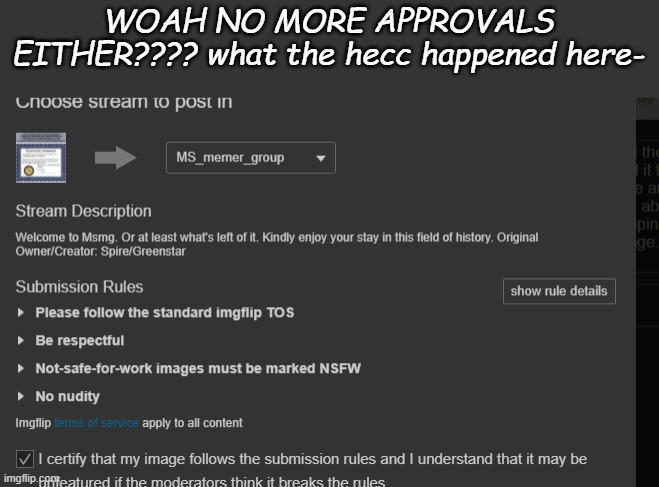WOAH NO MORE APPROVALS EITHER???? what the hecc happened here- | made w/ Imgflip meme maker