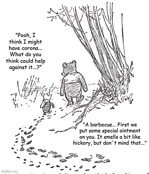 How Piglet just suddenly disappeared | "Pooh, I think I might have corona... What do you think could help against it...?"; "A barbecue... First we put some special ointment on you. It smells a bit like hickory, but don´t mind that..." | image tagged in winnie the pooh,piglet | made w/ Imgflip meme maker