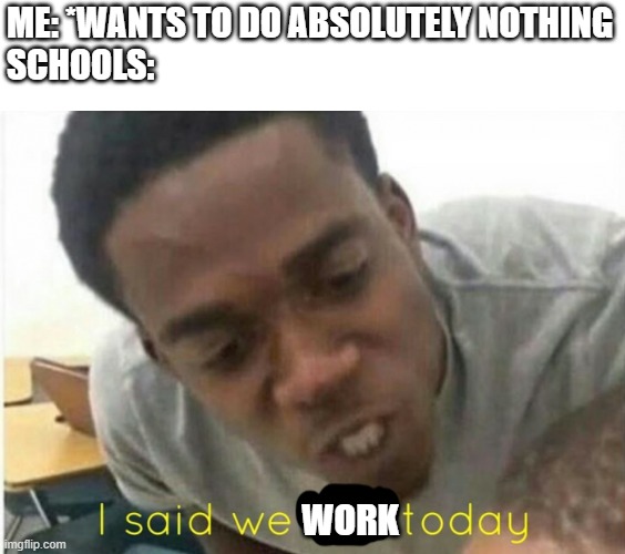 class: *sighs* | ME: *WANTS TO DO ABSOLUTELY NOTHING
SCHOOLS:; WORK | image tagged in i said we ____ today,memes,school | made w/ Imgflip meme maker