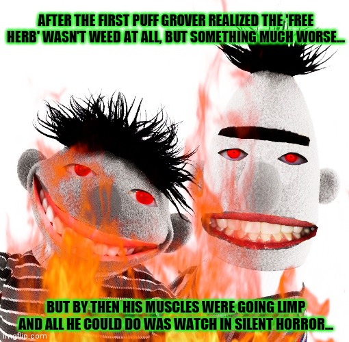 Bad smokes... | AFTER THE FIRST PUFF GROVER REALIZED THE 'FREE HERB' WASN'T WEED AT ALL, BUT SOMETHING MUCH WORSE... BUT BY THEN HIS MUSCLES WERE GOING LIMP AND ALL HE COULD DO WAS WATCH IN SILENT HORROR... | image tagged in sesame street,free herb,bert and ernie,welcome,to hell | made w/ Imgflip meme maker