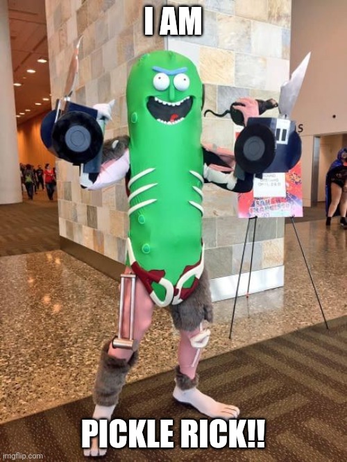 WATCH IT FOR THAT GUY | I AM; PICKLE RICK!! | image tagged in pickle rick,cosplay,wtf | made w/ Imgflip meme maker