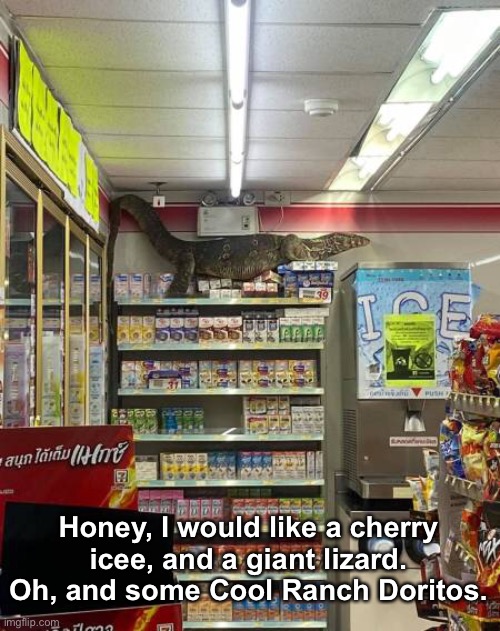 Running in to the store. Want anything? | Honey, I would like a cherry icee, and a giant lizard.
Oh, and some Cool Ranch Doritos. | image tagged in funny memes,lizards | made w/ Imgflip meme maker