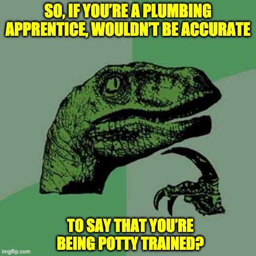 Potty On | SO, IF YOU’RE A PLUMBING APPRENTICE, WOULDN’T BE ACCURATE; TO SAY THAT YOU’RE BEING POTTY TRAINED? | image tagged in memes,philosoraptor | made w/ Imgflip meme maker