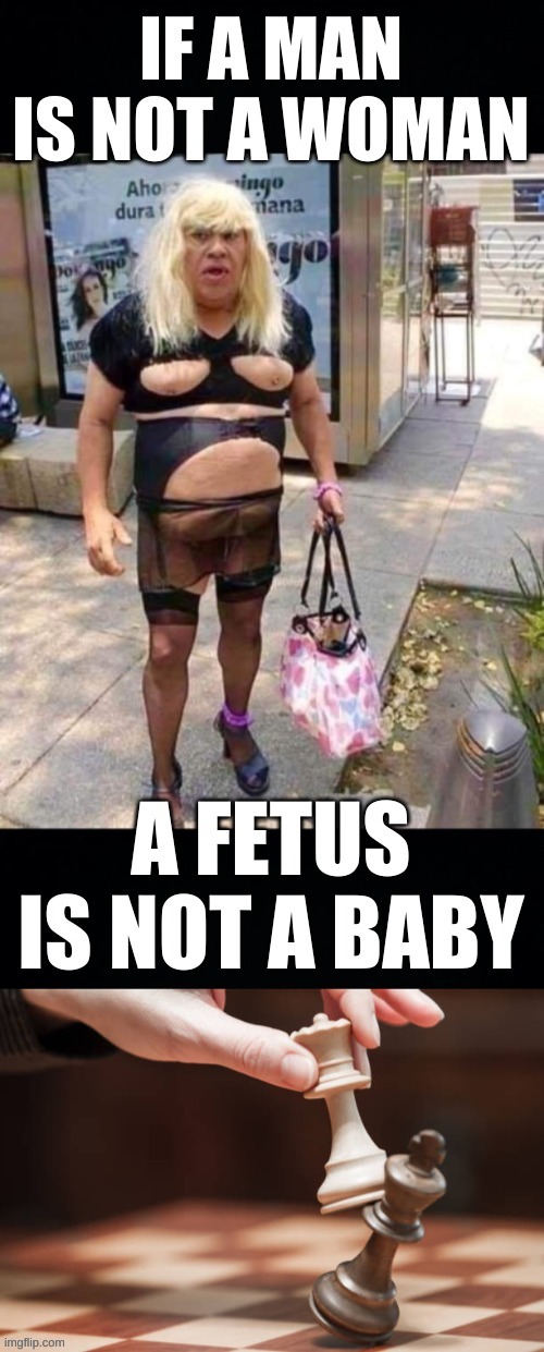 image tagged in abortion,fetus,baby,transgender,womens rights,conservative hypocrisy | made w/ Imgflip meme maker