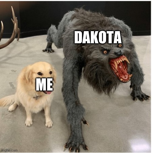 aaaaaaaaaaaaaaaaaaaaaaaaaaaaaaaaaaaa help! | DAKOTA; ME | image tagged in dog wolf | made w/ Imgflip meme maker