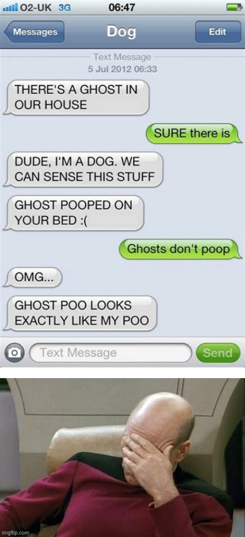 If dogs texted part 2 | image tagged in memes,captain picard facepalm,dogs,text messages | made w/ Imgflip meme maker