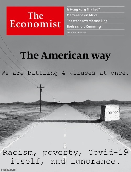The 4 viruses afflicting America in the decade 2020. | image tagged in the economist 4 viruses | made w/ Imgflip meme maker