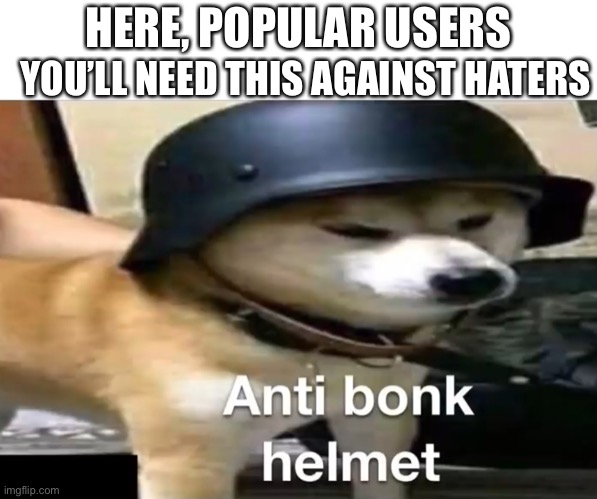 you will need this | YOU’LL NEED THIS AGAINST HATERS; HERE, POPULAR USERS | image tagged in doge anti-bonk helmet | made w/ Imgflip meme maker