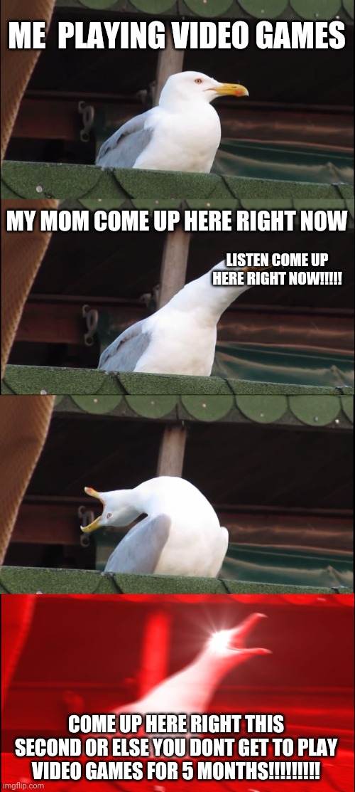 It's so true | ME  PLAYING VIDEO GAMES; MY MOM COME UP HERE RIGHT NOW; LISTEN COME UP HERE RIGHT NOW!!!!! COME UP HERE RIGHT THIS SECOND OR ELSE YOU DONT GET TO PLAY VIDEO GAMES FOR 5 MONTHS!!!!!!!!! | image tagged in memes,inhaling seagull,oh wow are you actually reading these tags,video games,0 upvotes,10000 views | made w/ Imgflip meme maker