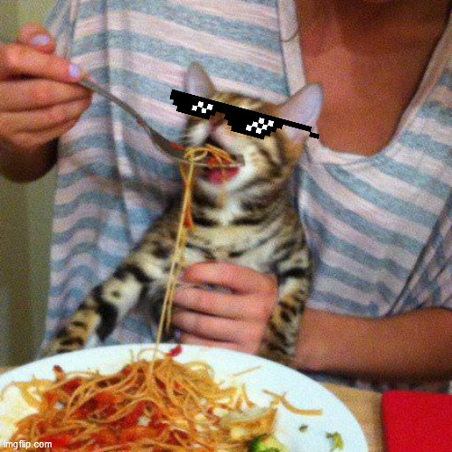 image tagged in funny,cat,sunglasses,food | made w/ Imgflip meme maker