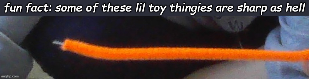 Forgot what theyre called but yea | fun fact: some of these lil toy thingies are sharp as hell | made w/ Imgflip meme maker