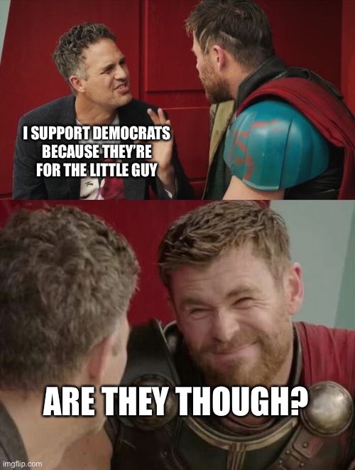 Is it though | I SUPPORT DEMOCRATS BECAUSE THEY’RE FOR THE LITTLE GUY ARE THEY THOUGH? | image tagged in is it though | made w/ Imgflip meme maker