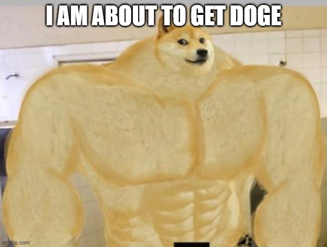 Doge is about to get DOGE | I AM ABOUT TO GET DOGE | image tagged in buff doge,doge buff,doge | made w/ Imgflip meme maker