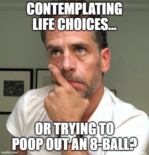 hunters motivations | CONTEMPLATING LIFE CHOICES... OR TRYING TO POOP OUT AN 8-BALL? | image tagged in hunter,biden | made w/ Imgflip meme maker