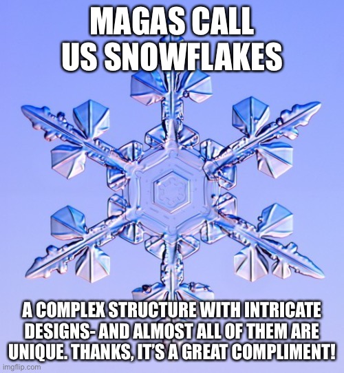 Special snowflake | MAGAS CALL US SNOWFLAKES; A COMPLEX STRUCTURE WITH INTRICATE DESIGNS- AND ALMOST ALL OF THEM ARE UNIQUE. THANKS, IT’S A GREAT COMPLIMENT! | image tagged in special snowflake | made w/ Imgflip meme maker