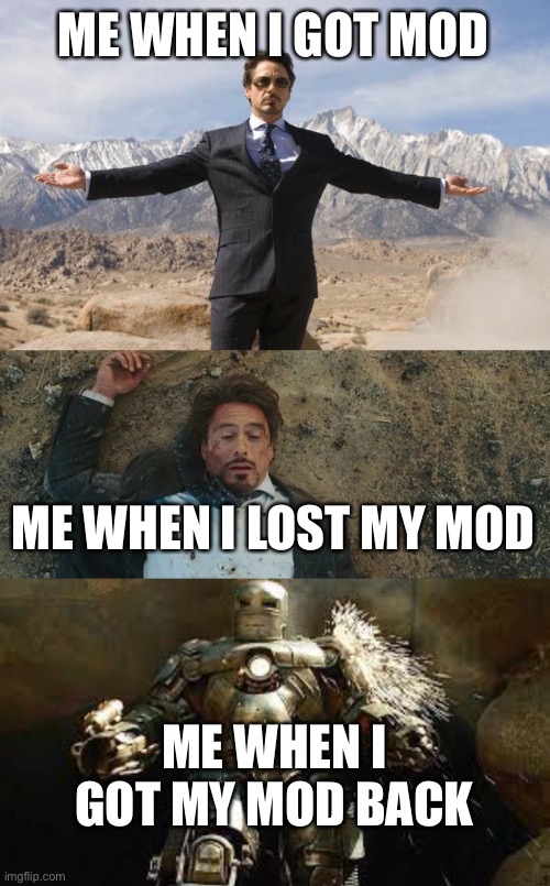 Ngl kinda funny | ME WHEN I GOT MOD; ME WHEN I LOST MY MOD; ME WHEN I GOT MY MOD BACK | image tagged in before after tony stark | made w/ Imgflip meme maker