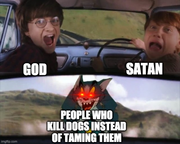 People who kill their dogs in minecraft should be arrested for life | SATAN; GOD; PEOPLE WHO KILL DOGS INSTEAD OF TAMING THEM | image tagged in tom chasing harry and ron weasly | made w/ Imgflip meme maker