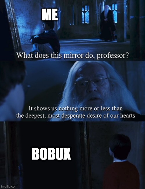 Plz bobux me need | ME; BOBUX | image tagged in harry potter mirror | made w/ Imgflip meme maker