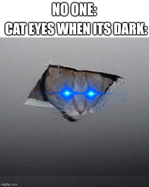 Ceiling Cat Meme | CAT EYES WHEN ITS DARK:; NO ONE: | image tagged in memes,ceiling cat | made w/ Imgflip meme maker