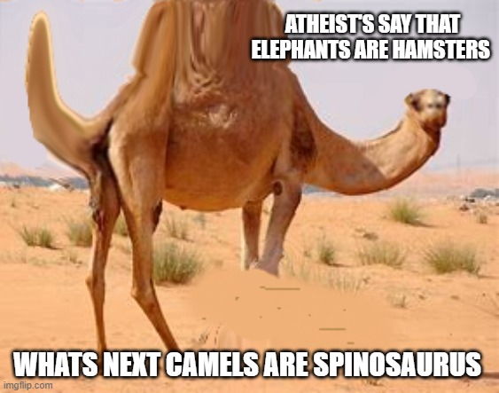 Spinocamel |  ATHEIST'S SAY THAT ELEPHANTS ARE HAMSTERS; WHATS NEXT CAMELS ARE SPINOSAURUS | image tagged in dinosaur,camel,funny memes | made w/ Imgflip meme maker