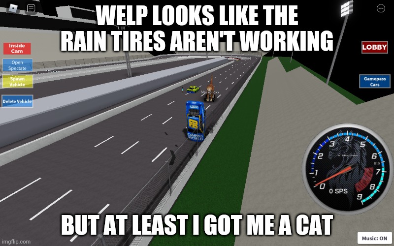 WELP LOOKS LIKE THE RAIN TIRES AREN'T WORKING; BUT AT LEAST I GOT ME A CAT | image tagged in roblox,nascar,cat,car | made w/ Imgflip meme maker