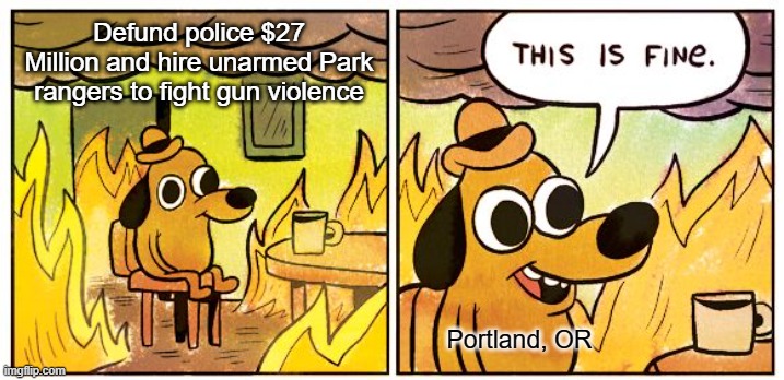 Portland OR has lost it's mind | Defund police $27 Million and hire unarmed Park rangers to fight gun violence; Portland, OR | image tagged in memes,this is fine,portland,defund the police | made w/ Imgflip meme maker