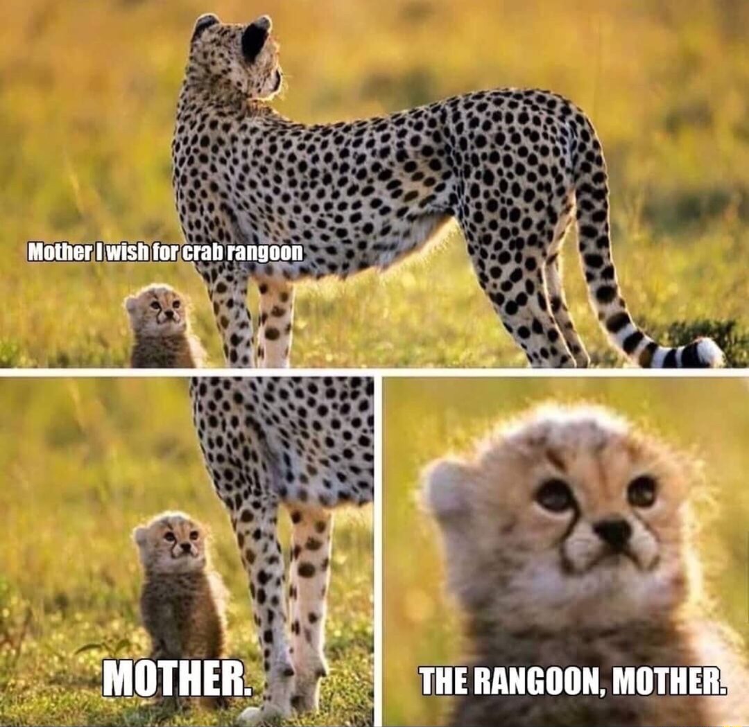 leopard and child Blank Meme Template