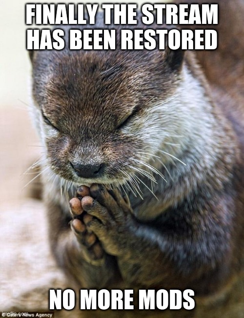 Thank you Lord Otter | FINALLY THE STREAM HAS BEEN RESTORED; NO MORE MODS | image tagged in thank you lord otter | made w/ Imgflip meme maker