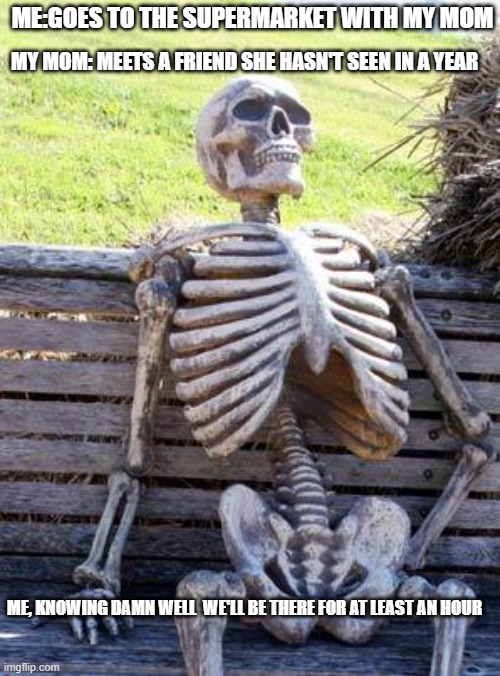 Ded skelet | MY MOM: MEETS A FRIEND SHE HASN'T SEEN IN A YEAR; ME:GOES TO THE SUPERMARKET WITH MY MOM; ME, KNOWING DAMN WELL  WE'LL BE THERE FOR AT LEAST AN HOUR | image tagged in memes,waiting skeleton | made w/ Imgflip meme maker