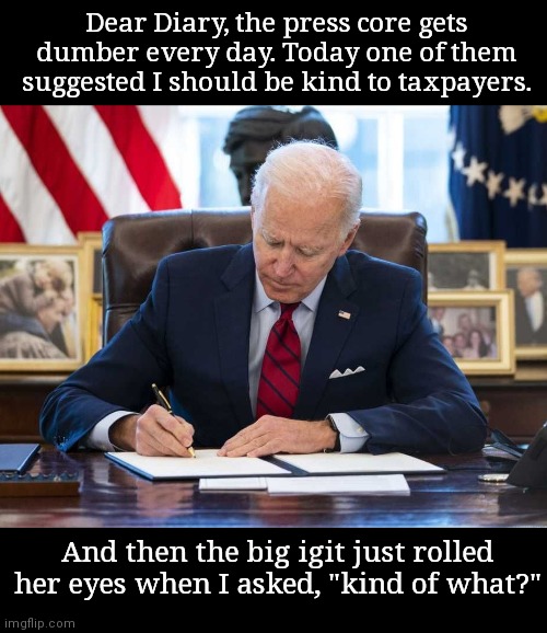 Dear Diary Joe | Dear Diary, the press core gets dumber every day. Today one of them suggested I should be kind to taxpayers. And then the big igit just rolled her eyes when I asked, "kind of what?" | image tagged in dear diary joe,joe biden,incompetence,political humor | made w/ Imgflip meme maker