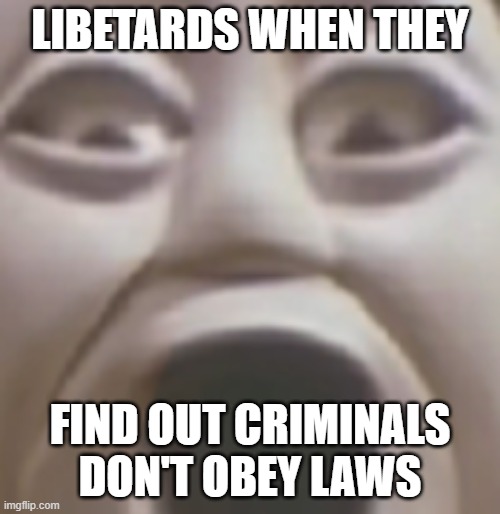 70% of users do not possess the ability to upvote | LIBETARDS WHEN THEY; FIND OUT CRIMINALS DON'T OBEY LAWS | image tagged in gun control | made w/ Imgflip meme maker
