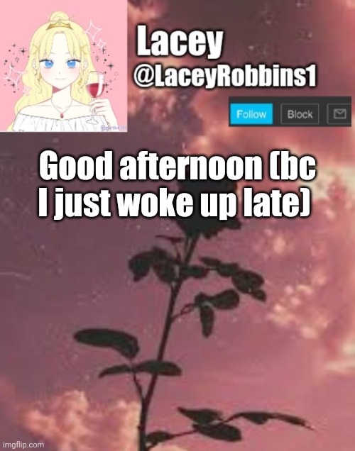 Lacey announcement template | Good afternoon (bc I just woke up late) | image tagged in lacey announcement template | made w/ Imgflip meme maker