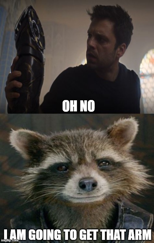 Rocket and Winter Soldier Arm | OH NO; I AM GOING TO GET THAT ARM | image tagged in marvel | made w/ Imgflip meme maker