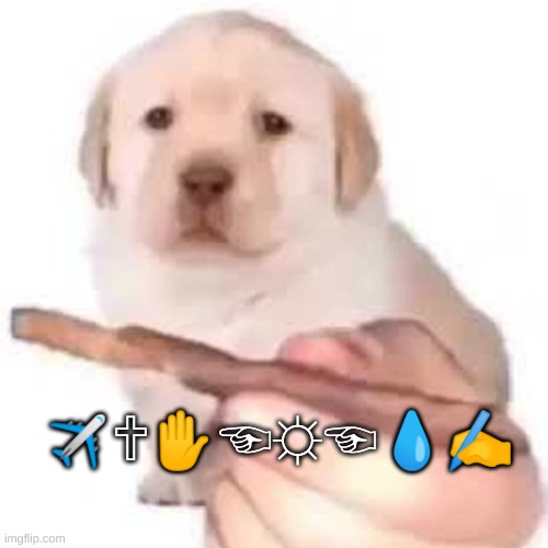 quieres? | ✈🕆✋☜☼☜💧✍ | image tagged in quieres | made w/ Imgflip meme maker