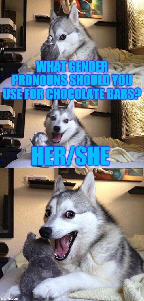 Hershey bars are good tho | WHAT GENDER PRONOUNS SHOULD YOU USE FOR CHOCOLATE BARS? HER/SHE | image tagged in bad pun dog,funny,chocolate,gender pronouns,puns | made w/ Imgflip meme maker