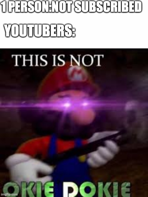 1 PERSON:NOT SUBSCRIBED; YOUTUBERS: | image tagged in blank white template,this is not okie dokie | made w/ Imgflip meme maker