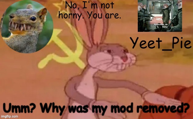 Yeet_Pie | Umm? Why was my mod removed? | image tagged in yeet_pie | made w/ Imgflip meme maker