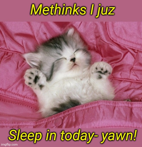 Sleepy Kitty | Methinks I juz; Sleep in today- yawn! | image tagged in cute kittens | made w/ Imgflip meme maker