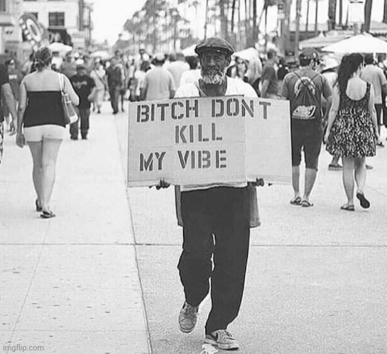 Bitch don’t kill my vibe | image tagged in bitch don t kill my vibe | made w/ Imgflip meme maker