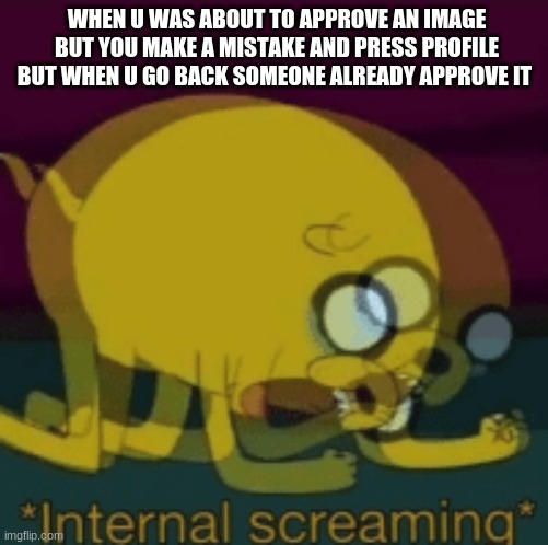 Jake The Dog Internal Screaming | WHEN U WAS ABOUT TO APPROVE AN IMAGE BUT YOU MAKE A MISTAKE AND PRESS PROFILE BUT WHEN U GO BACK SOMEONE ALREADY APPROVE IT | image tagged in jake the dog internal screaming | made w/ Imgflip meme maker